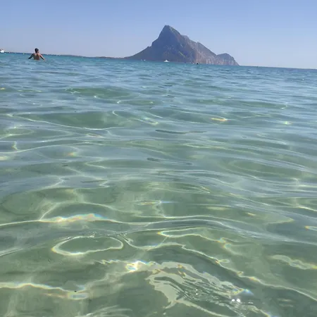 Runkina * Monte Petrosu